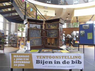 Beringen in de bres voor de bijtjes - Beringen