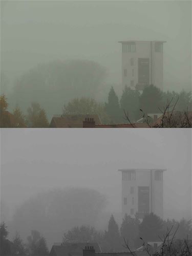 Beringen in de mist - Beringen