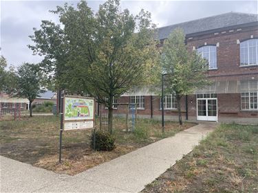 Qrios nu ook in Beringen - Beringen