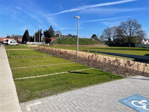 Beringen op kop bij kampioenschap Tegelwippen - Beringen