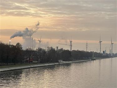 Beringen op Omgevingsinformatie Vlaanderen - Beringen