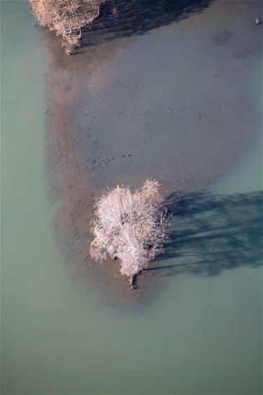 Beringen vanuit de lucht - Beringen