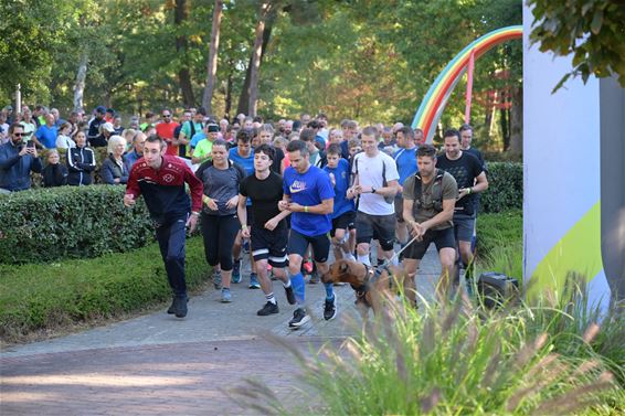 Beringse Bosloop onder stralende herfstzon - Beringen