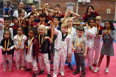 Beringse Taekwondoclub scoort uitstekend - Beringen