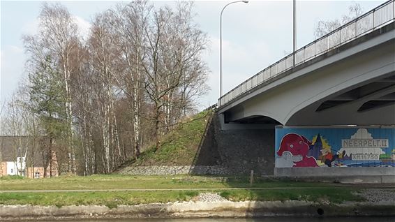 Berken ruimen plaats voor inheemse struiken - Neerpelt