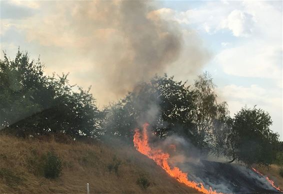 Bermbrand langs Noord-Zuid - Hechtel-Eksel