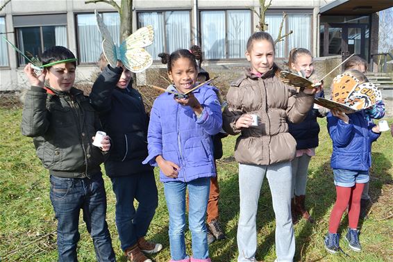 Bestel uw vlinderplantjes nu - Lommel