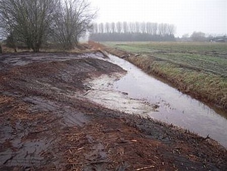 Beter voor de Dommel - Peer