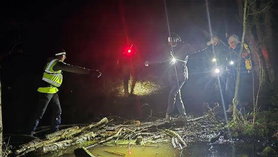 Pelt - Bever vertraagt sportwandelaars in ’t Plat