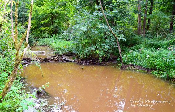 Beverdam op de Bollissenbeek - Hechtel-Eksel & Peer