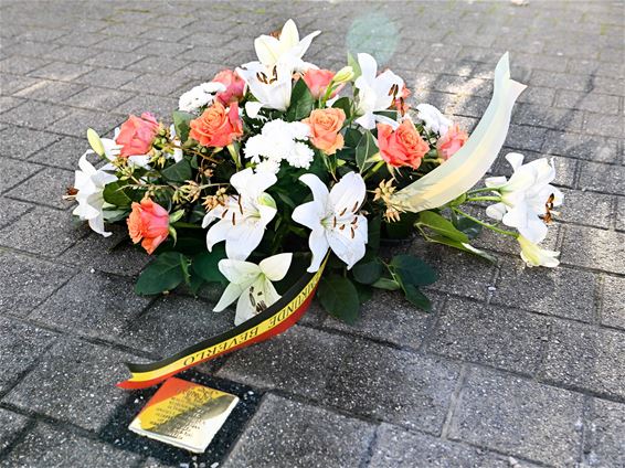 Beverlo heeft vier Stolpersteine - Beringen