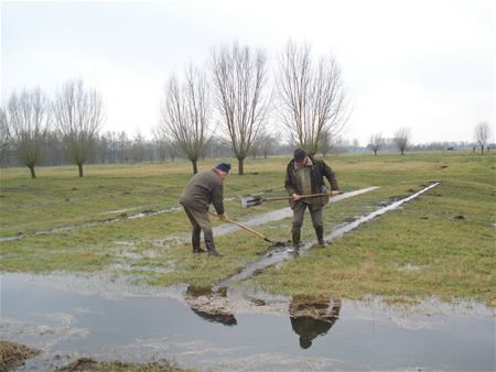Bevloeien in de Watering - Lommel