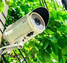 Bewakingscamera's in vernieuwd stadspark - Tongeren