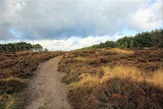 Bewolking boven de Blekerheide - Lommel