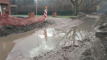 Bewoners in de modder - Beringen