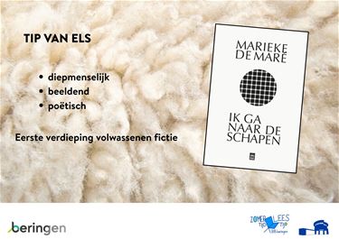 BIBTIP door bibmedewerker Els Vandevoort - Beringen
