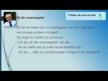 Bij de woarzegster