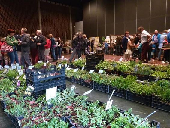 Bijen- en vlinderbeurs in het Poorthuis - Peer