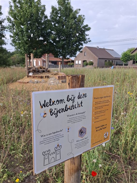 Bijenburcht in Bree: veilige thuishaven voor bijen - Bree