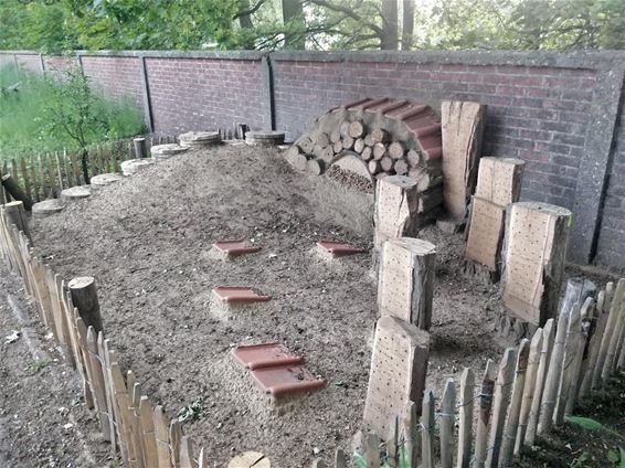 Bijenburcht op begraafplaats Beringen-Mijn - Beringen
