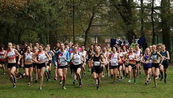 Bijna 700 atleten in Dommelloop - Neerpelt