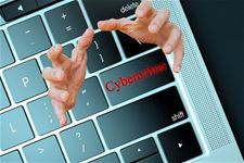 Bijna twee miljoen nadeel door cybercrime - Beringen