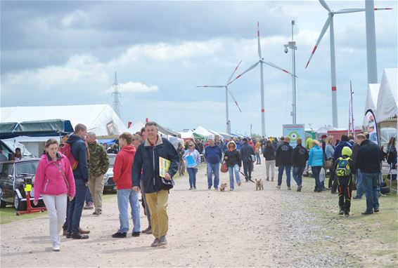 Bijna tweeduizend mini's palmen Lommel in - Lommel