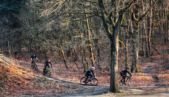 Bijzonder mooi wandel- en fietsweer - Lommel