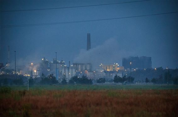 Bijzondere ochtendfoto's - Lommel