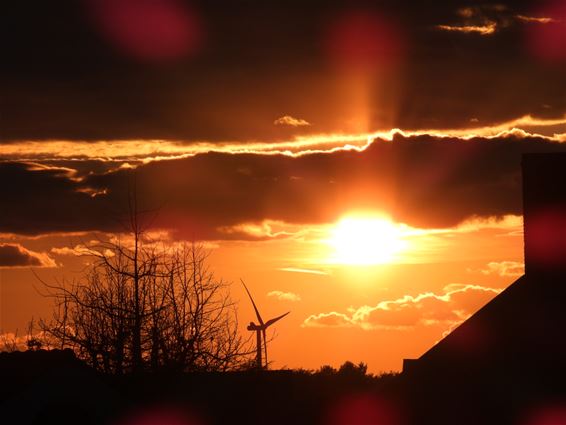 Bijzondere zonsondergang - Lommel