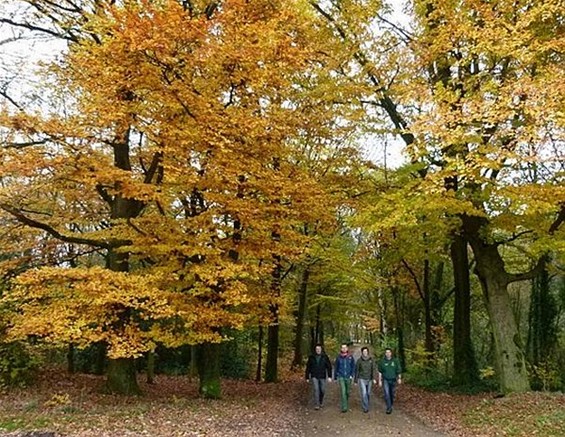 Bilzense scouts op weekend - Meeuwen-Gruitrode