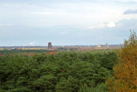 Binnen de 100 km: de Mechelse Heide - Neerpelt