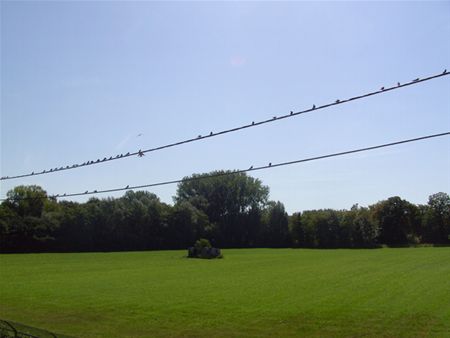 Binnen de 100 m - Neerpelt