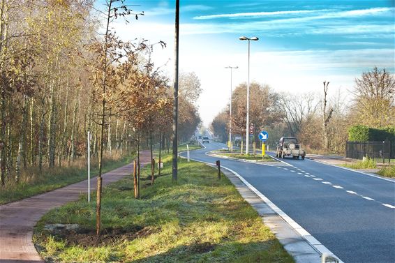 Binnenkort zone 50 op stuk baan Stevensvennen - Lommel