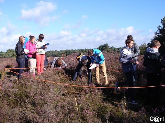 Biologieles op de Heuvelse Heide - Lommel