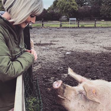 Black Free Day for Animals - Beringen