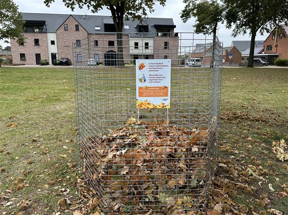 Bladafval? Gebruik de bladkorven! - Hechtel-Eksel