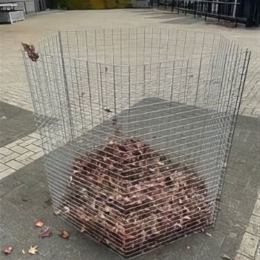 Bladafval? Gebruik de bladkorven - Hechtel-Eksel