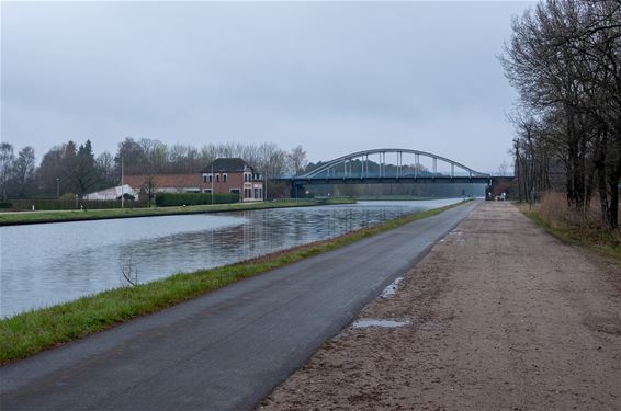 Blauwalg in kanalen: wees voorzichtig - Lommel