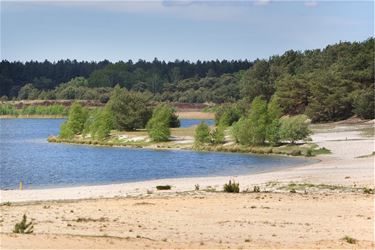 Blauwalg in Sahara-putten - Lommel