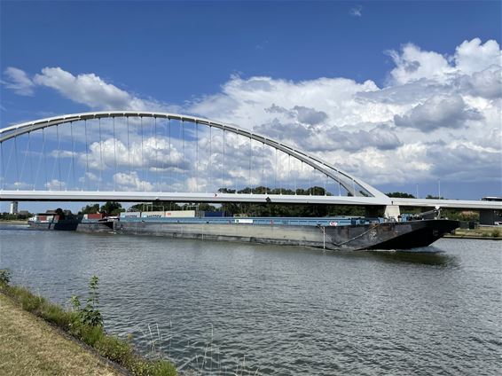 Blauwalgen in Albertkanaal - Beringen