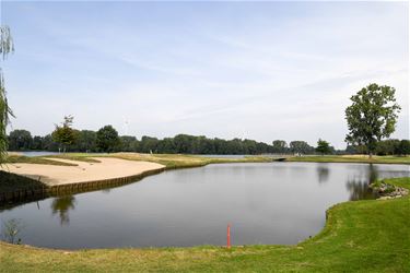 Blauwalgen in Paalse Plas - Beringen