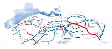 Blauwalgen op Albertkanaal - Beringen