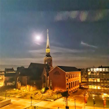 Blauwe volle maan - Beringen