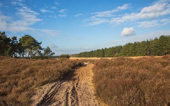 Blekerheide vandaag - Lommel