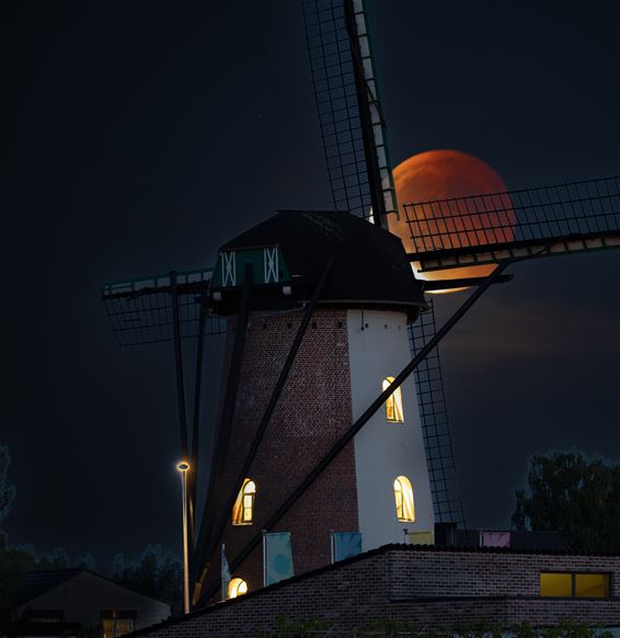 Pelt - Bloedmaan blijft (lang) achter de wolken (1)