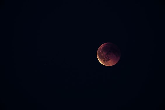 Bloedmaan, een totale maansverduistering - Lommel