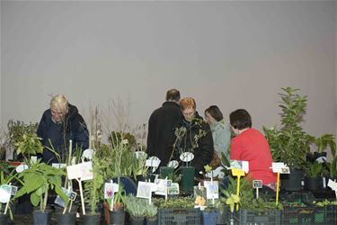 Bloemen- en plantendag Tuinhier Tervant - Beringen