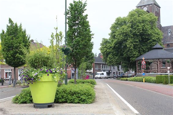 Bloemen in de stad - Hamont-Achel