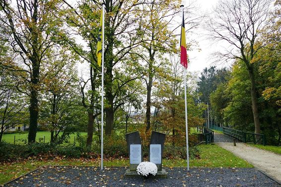 Bloemen van een onbekende - Neerpelt